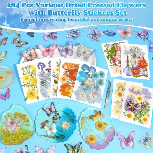 284 Pcs Real Dried Pressed Flowers & Butterfly Stickers for Resin Crafts