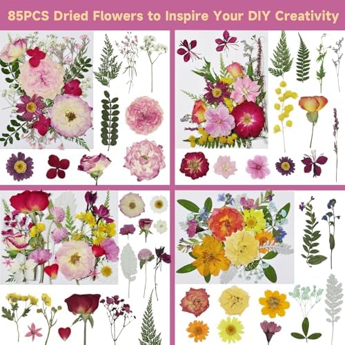 Dried Pressed Flowers for Resin