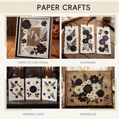 LUXEEASE 90P Halloween Black & White Dried Pressed Flowers | Gothic elegant craft accent, for resin jewelry scrapbook card candle frame party spooky decor, tweezers included
