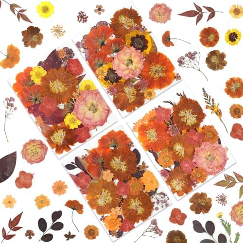 LUXEEASE 100P Autumn Dried Pressed Flowers, Warm Tone | Rust orange burgundy blooms, cozy fall feel, for resin scrapbook card seasonal home decor, tweezers included