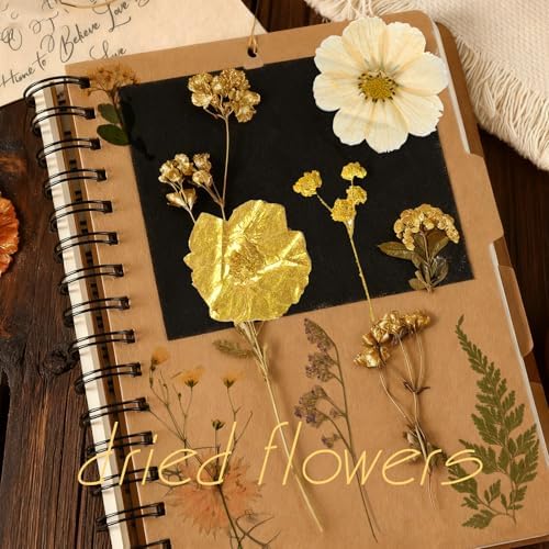 85 Pcs Dried Flowers for Crafts