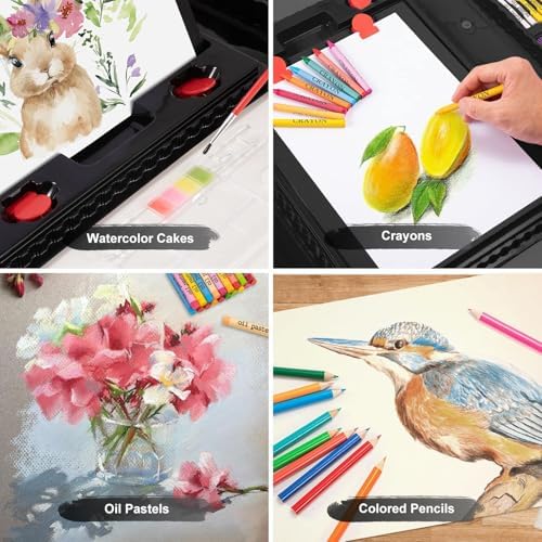 Art Supplies, 272 Pack Art Set Crafts Drawing Kit for Kids Girls Boys Teens