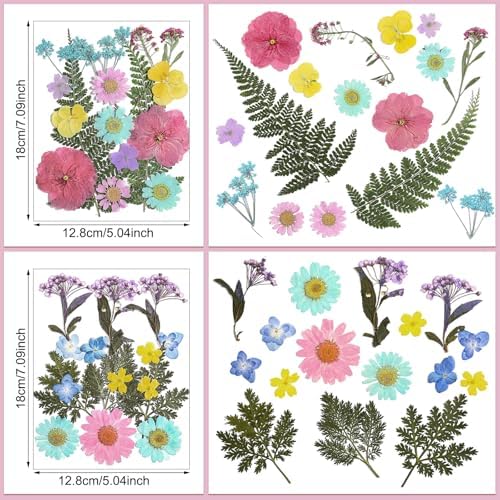 Nuanchu Pastel Real Dried Pressed Flowers for Craft Resin Mold DIY