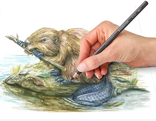 Staedtler Water-Soluble Tinted Graphite Pencils, Watercolor Artist Set, Pre-sharpened, 12 Colors in Metal Tin, 14610T M12