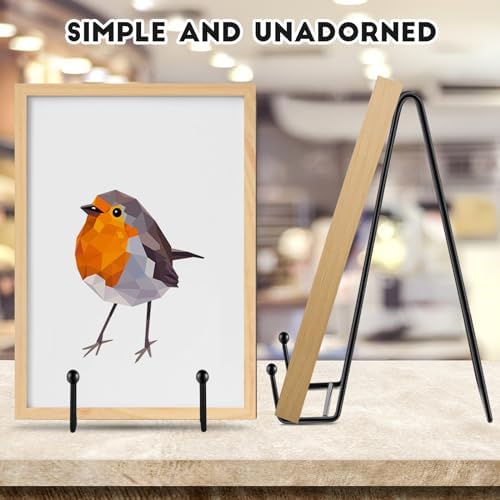 IBosins 5-Pack 10-Inch Plate Holder Display Stands Black Metal Frame Stand