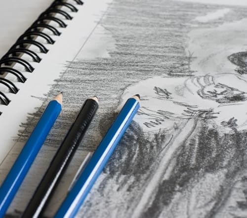 GIFTEXPRESS Bound Spiral Premium Sketch Book Sketch Pads Set, 4 Pads x30-Sheets, 8.5" X 11" Side Wire Bound, White 120 Paper Sheets for Pencil Ink Pastel (4)