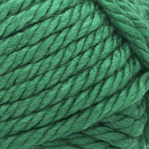 Lion Brand Yarn Hometown Yarn, Super-Bulky Yarn for Knitting, Crocheting, and Crafting, 1 Pack, Green Bay