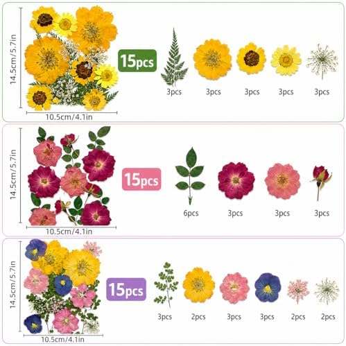 180 pcs Dried Flowers for Resin, Natural Flowers and Leaves Kit with Butterfly Stickers， Vacuum Sealed DIY Pressed Flowers for Jewelry Molds, Candle Soap Making, Scrapbook, Nail Art (Colorful-E)