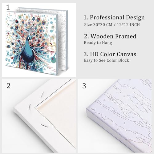 Natuyalo Paint by Numbers Kit for Adults Beginners, 12" Wx12 L Animal Painting by Numbers Kit on Canvas Acrylic Drawing Kits Ready to Stretch and Framed, Colourful Peacock