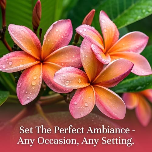 P&J Trading Fragrance Oil | Plumeria Oil 100ml - Candle Scents for Candle Making, Freshie Scents, Soap Making Supplies, Diffuser Oil Scents