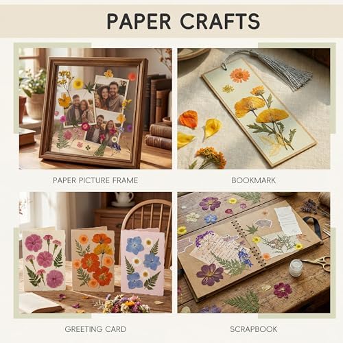 LUXEEASE 80P Yellow Red Pink Blue Dried Pressed Flowers | Fresh natural color mix, blooms and leaves ready to craft, for resin jewelry scrapbook candle frame decor, tweezers included
