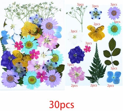 Cayway 4 Pack Pressed Flowers Natural Dried Flowers Colorful Resin Flowers Real Pressed Flowers for Resin Scrapbook DIY Art Crafts, Epoxy Resin Jewelry, Card Making Supplies, Style G
