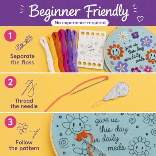 FUNATIC Give Us This Day Our Daily Meds Funny Embroidery Kit for Adults