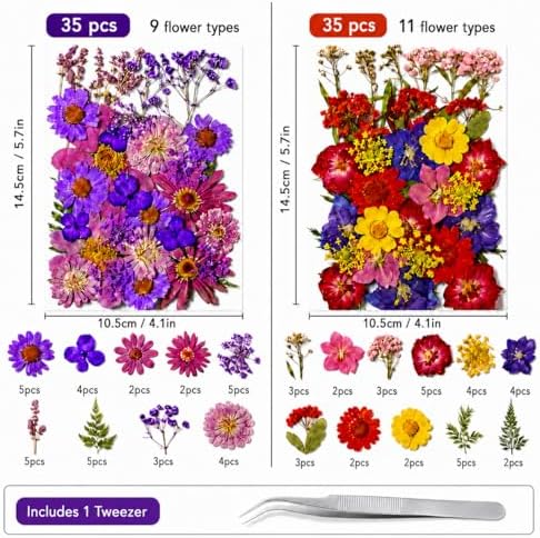 70 pcs Dried Flowers for Resin, Natural Flowers and Leaves Kit with Tweezers， Vacuum Sealed DIY Pressed Flowers for Jewelry Molds, Candle Soap Making, Scrapbook, Nail Art (Colorful-C)