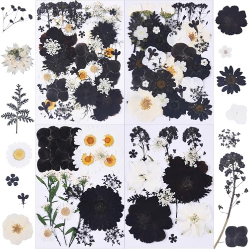 115Pcs Black Dried Pressed Flowers for Crafts,Xinxinran Dry Flowers Kit for Resin Molds,Epoxy Resin Accessories,Bookmark,Nails, Jewelry Molds,Candle Making Supplies,Soap,Frame