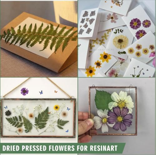 240 Pcs Dried Pressed Flowers for Resin Crafts, Real Natural Pressed Flowers and Leaves Kit Butterfly Stickers Vacuum Sealed Dry Flowers for DIY Epoxy Resin Jewelry Molds, Candle Soap Making, Nail Art