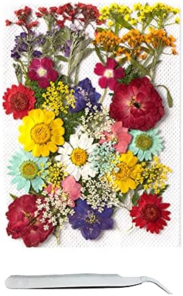 Cayway 40 Pcs Real Pressed Flowers Dry With Tweezers Set, Colorful Dried Flowers for Resin Scrapbooking, DIY Art Crafts, Epoxy Resin Jewelry, Soap Making