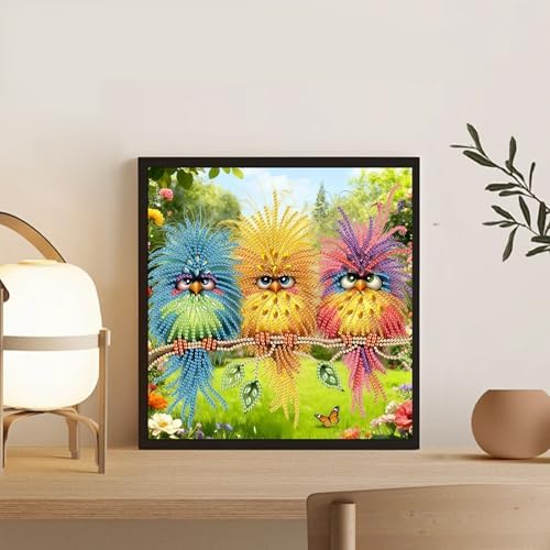 Bird Special Shape Diamond Art Kits for Adults Beginners