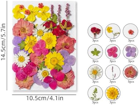 Grape Soaps Mold Dried Pressed Flowers Soap Making Kit Exquisite Mold for Handmade Soap Making Gift (Without Soaps)