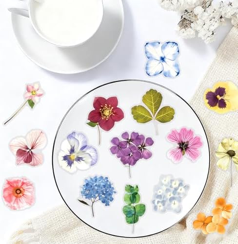 50PCS Transparent Flora Scrapbook Stickers, Flower-E | Vintage Aesthetic Flowers, Vinyl Waterproof, For Scrapbooks Travel Journal, For Water Bottles Laptop Phone