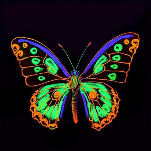 ABEIER Glow in the Dark Acrylic Paint Set, 10 x 2 oz, Blacklight