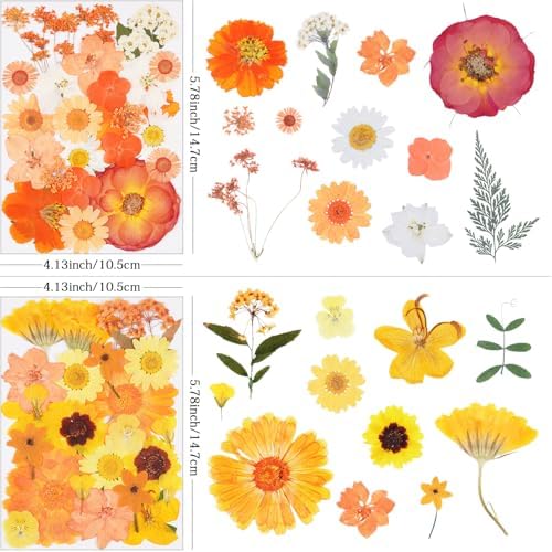 110Pcs Fall Dried Pressed Flowers for Crafts,Xinxinran Dry Flower Kit for Resin Molds,Epoxy Resin Accessories,Bookmark,Nails, Jewelry Molds,Candle Making Supplies,Soap,Frame