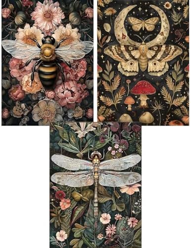 GOUOYANA 3 Dragonfly Insect Paint By Numbers Kit for Adults Acrylic Canvas | Adult Paint by Number Kits Acrylict Canvas for Painting DIY Dragonfly Insect Paint by Numbers for Home Wall Art Gift 12X16in