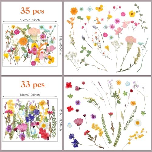 Nuanchu Vibrant Tiny Dried Pressed Flowers Wildflowers for Craft Resin Mold