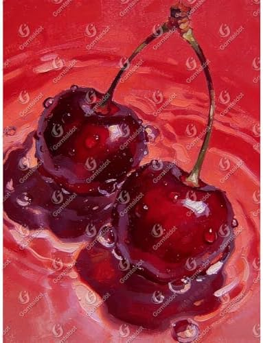 Gamteldot Cherry Diamond Art Kits for Adults Beginners,DIY Cherry Diamond Art 5D Full Drill Diamond Dots Diamond Painting with Complete Tools,Pefect Art Crafts for Home Wall Decor Gift-12x16in