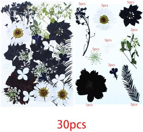 Cayway 2 Pack Pressed Flowers Natural Dried Flowers Black Resin Flowers Real Pressed Flowers with Butterfly Sticker for Resin Scrapbook DIY Art Crafts, Epoxy Resin Jewelry Supplies, Style E