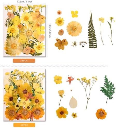 100 PCS Yellow Pressed Dried Flowers and Leaves with Tweezers | Natural, For Resin, For Candle, For Jewelry, For Scrapbooking & DIY Crafts