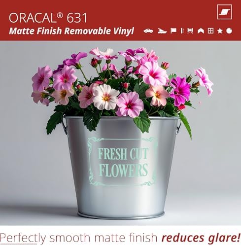 ORACAL 631 Matte Beach House Vinyl Durable Roll Easy to Weed Permanent Adhesive Craft Vinyl for Plotting Machines, Decals & DIY Projects 12” x 10ft