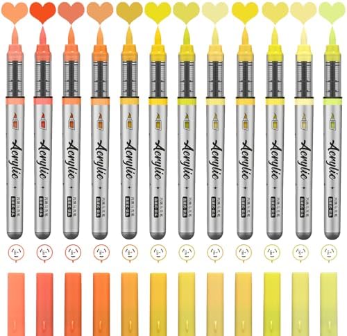 Yellow Orange Acrylic Paint Pens,12 Color Paint Pen Markers,Artist Brush Tip Paint Pens for Adult Painting Art Supplies