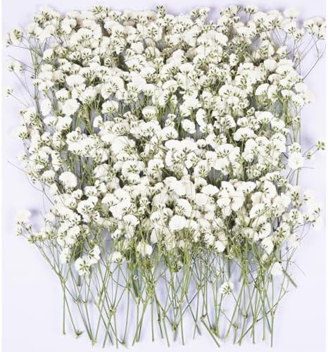 100Pcs White Babys Breath Dried Pressed Flowers for Crafts,Xinxinran Dry Flower Kit for Wedding Invitation Accessories,Bookmark,Jewelry Molds,Candle Making Supplies,Soap,Frame,Cakes