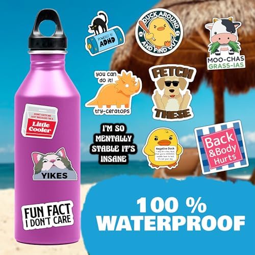 300 Pcs Funny Stickers for Adults Meme Water Bottles Decals Pack Waterproof Cool Sticker for Laptop, Bumper, Phone, Hard Hats, Sarcastic, Scrapbooking Decals