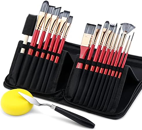 Transon 20Pcs Art Paint Brush Kit with Storage Case, 16 Brushes + Foam Brush Spatula Sponge for Acrylic Oil Watercolor Gouache, Adults Teens Beginners Art Supplies