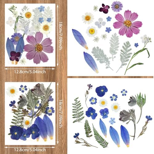 Nuanchu Real Dried Pressed Flowers Wildflowers for Resin Mold Craft DIY