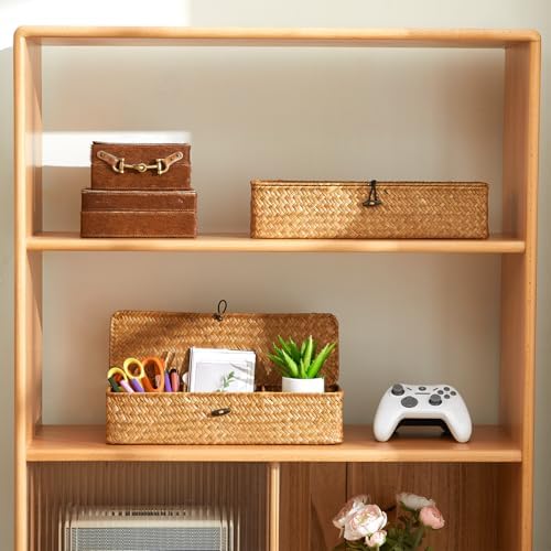 Nonam 3-Section Divided Storage Small Basket with Lid,Shelf Basket-Natural