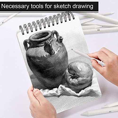 FEBSNOW 12Pcs Blending Stumps and Tortillions Sticks for Art Drawing