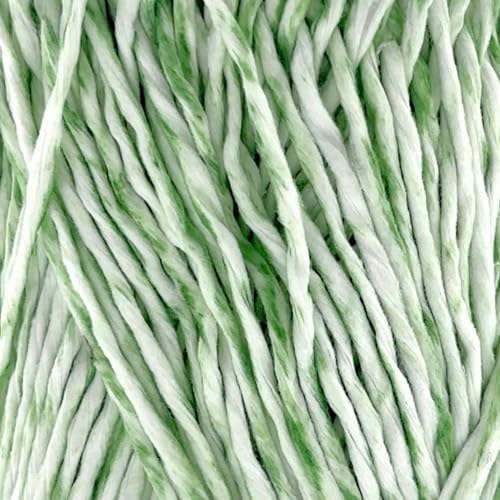 S Sensy Softee Raffia-Polyester Raffia Yarn 5 Skeins Green Batik 109 Yards