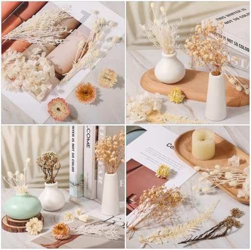 Real Dried Flowers 100% Natural Dried Flowers, Mixed Colors Dried Leaf Flowers for DIY Arts and Crafts Candles Resin Jewelry Nail Pendant Cards Scrapbooking Wedding Home Decoration (White)