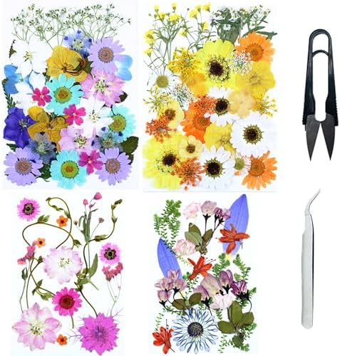 Cayway 4 Pack Pressed Flowers Natural Dried Flowers Colorful Resin Flowers Real Pressed Flowers for Resin Scrapbook DIY Art Crafts, Epoxy Resin Jewelry, Card Making Supplies, Style G