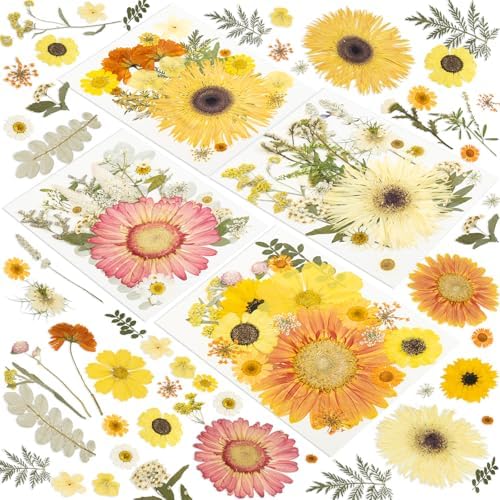 188 Pcs Dried Pressed Flowers for Resin Crafts, Real Natural Pressed Flowers and Leaves Kit Butterfly Stickers Vacuum Sealed Dry Flowers for DIY Epoxy Resin Jewelry Molds, Candle Soap Making, Nail Art