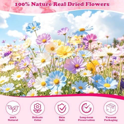 Evatage 100 Pcs Real Dried Pressed Flowers for Resin Crafts