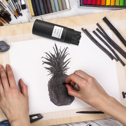 Willow Charcoal Sticks, Natural Willow Charcoal Pencils for Artists, Beginners, Students, Great for Sketching, Drawing, and Shading, Pack of 25 (7-9, Millimeters)