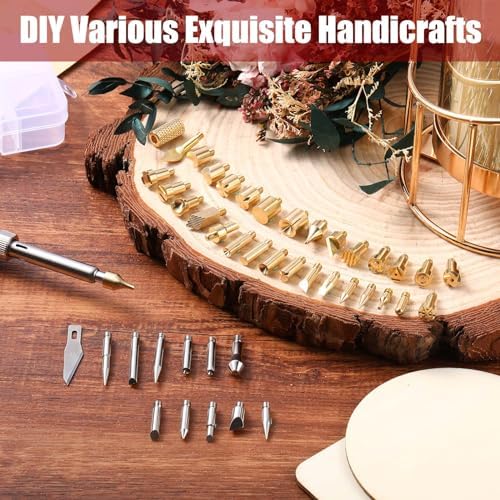 Lothee 43 Pcs Wood Burning Tips Kit, Wood Burning Letters Numbers Alphabet Stamps Stencils Templates for Stippling Embossing Branding Crafts Personalization Tools Gift for Dad(Different Shape)