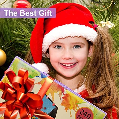 VigorFun Art Supplies, 240 PCS Drawing Art Kit, Gifts for Kids Girls Teens