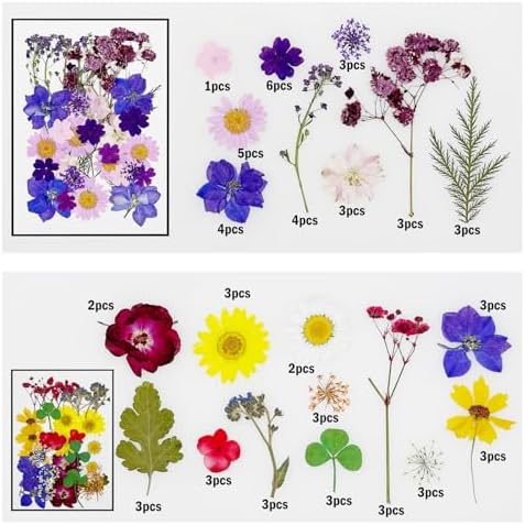 Cayway 170 PCS Dried Flowers for Resin, Real Nature Dried Pressed Flower Leaves for DIY Nail Art Cards Jewelry Making Epoxy Resin Molds Candle Accessories Floral Decors, Multicolor