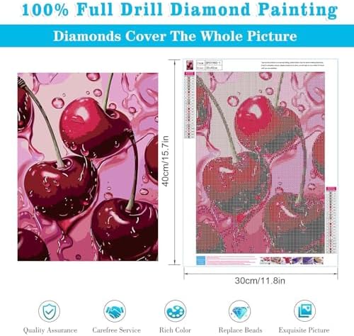 AIBOERL 2 Pack Diamond Art Kits for Adults,Retro Cherry Diamond Painting | Round Drill Fruit Diamond Painting for Beginners DIY Rhinestone 5D Diamond dots(Gemstone Craft)Wall Art Gift 12x16IN