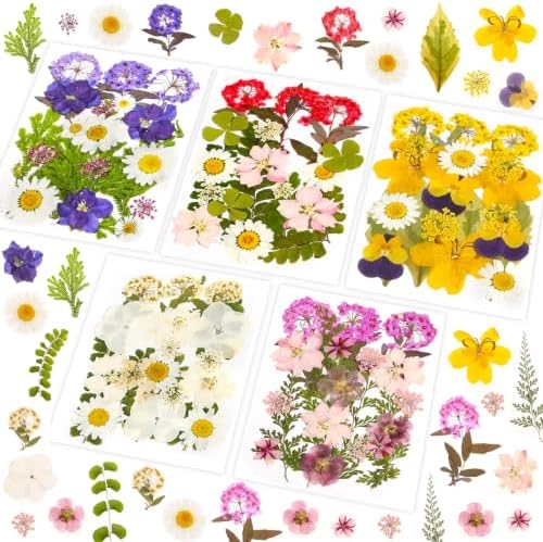 Evatage 100 Pcs Real Dried Pressed Flowers for Resin Crafts